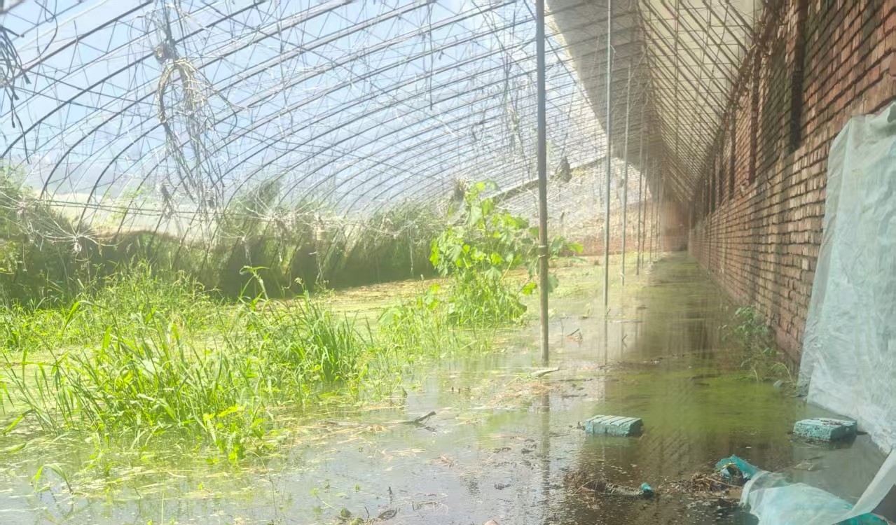 【暴雨无情，爱尔有爱】紧急驰援密云“星星果园”
