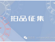 爱尔公益慈善拍卖晚会【拍品征集】